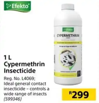 Builders Warehouse Efekto 1L Cypermethrin Insecticide offer