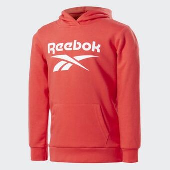 Reebok Big logo hoodie offer