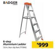 Builders Warehouse Badger 6 step aluminium ladder 1.8m offer