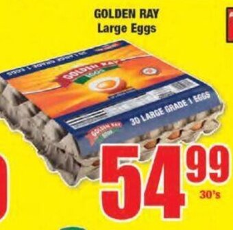 Boxer Golden Ray Large Eggs 30's offer