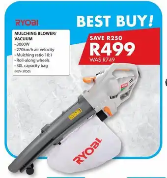 Chamberlain Mulching blower/vacuum offer