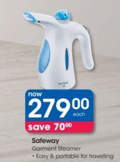 garment steamer dischem