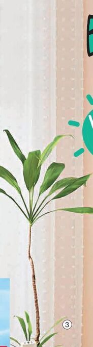 MRP Home Curtains offer
