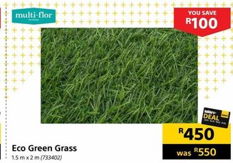 Builders Warehouse Eco green grass offer