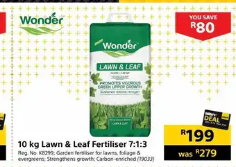 Builders Warehouse 10 kg lawn & leaf fertilizer 7:1:3 offer