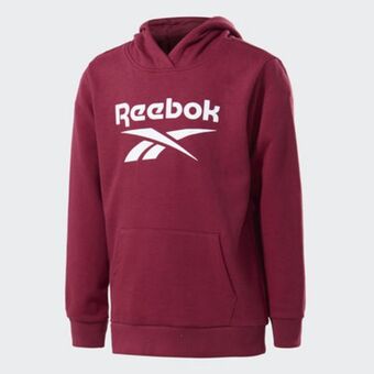 Reebok Big logo hoodie offer