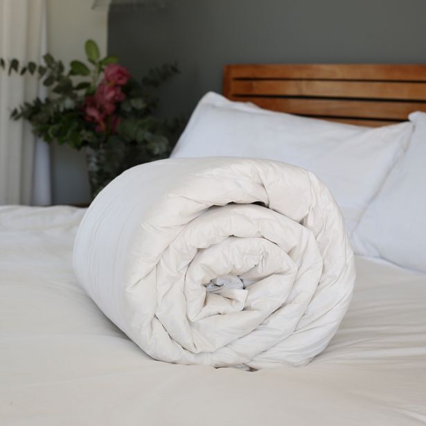 Allseason hungarian goose down duvet inner (60 down/40 feather