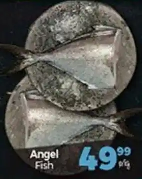 Take 'n Pay Angel Fish offer