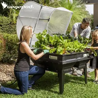 Self-watering garden pod
