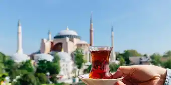 Best of turkey summer 2023