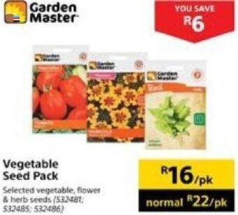 Builders Warehouse Garden Master Vegetable Seed Pack offer
