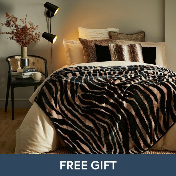 Hayes 1ply 2kg mink blanket & bag offer at HomeChoice