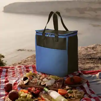 OneDayOnly 13l insulated cooler bags with front pocket offer