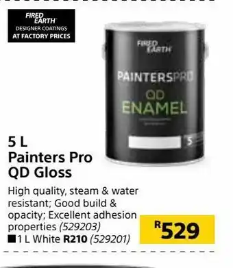 Builders Warehouse 5 l painters pro qd gloss offer