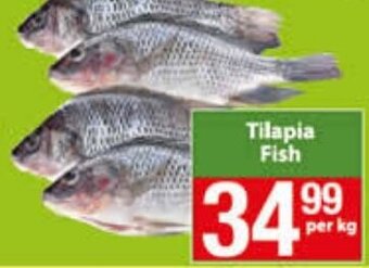 Check Save Tilapia Fish per kg offer
