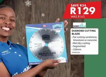 Diamond cutting blade
