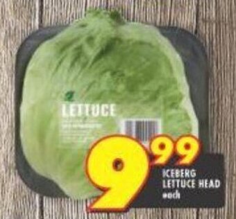 Iceberg Lettuce Head