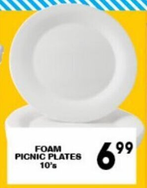 Giant Hyper Foam Picnic Plates 10's offer