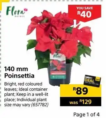 140 mm poinsettia