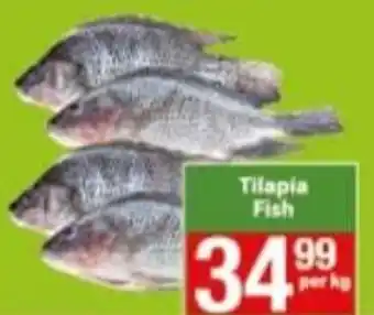 Check Save Tilapia Fish per kg offer