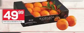 Pick n Pay PnP Citrus Mandarins Tray offer