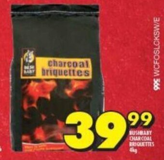 Shoprite Bushbaby Charcoal Briquettes 4kg offer