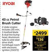 Builders Warehouse Ryobi 43cc petrol brush cutter offer