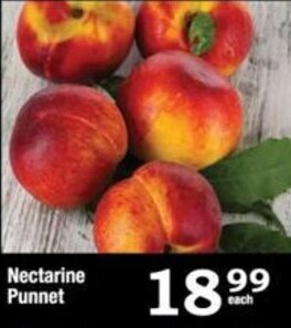 Oxford Freshmarket Nectarine Punnet offer