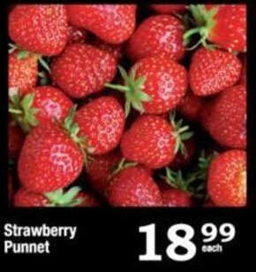 Oxford Freshmarket Strawberry Punnet offer