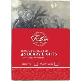 Christmas christmas berry lights 50 b.o.