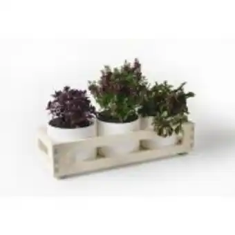 Native décor triple birch planter box