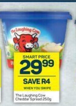 Pick n Pay The Laughing Cow Cheddar Spread 250g offer