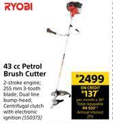 Builders Warehouse Ryobi 43cc petrol brush cutter offer