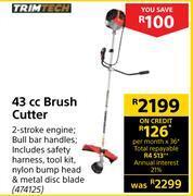Builders Warehouse Trimtech 43cc brush cutter offer