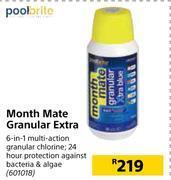 Builders Warehouse Pool brite month mate granular extra offer