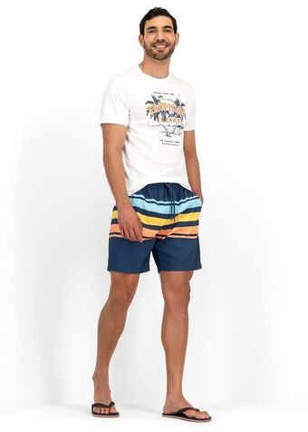 Woolworths Striped slim fit longer length swim shorts offer