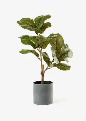 Woolworths Artificial ficus plant offer