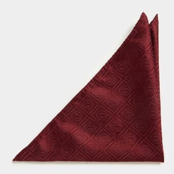 Fabiani Silk pocket square offer