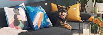 MRP Home Couch offer