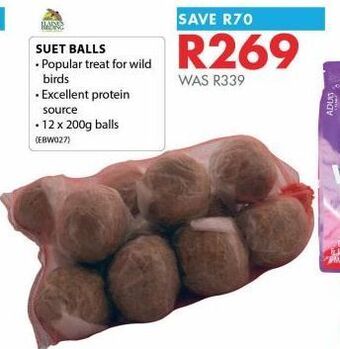 Suet balls