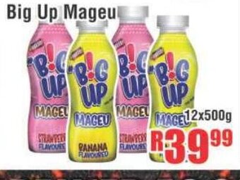 Devland Cash And Carry Big Up Mageu 12x500g offer