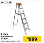Builders Warehouse Badger 6-step aluminium ladder offer