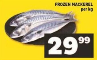 Frozen Mackerel per kg