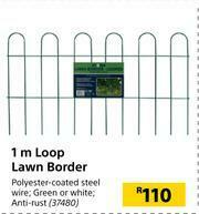 Builders Warehouse 1m Loop Lawn Border offer