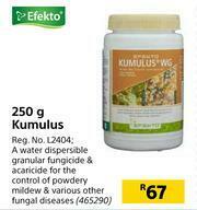 Builders Warehouse Efekto Kumulus-250g offer