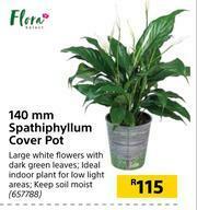 Builders Warehouse Flora 140mm Spathiphyllum Cover Pot offer
