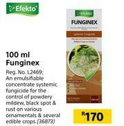 Builders Warehouse Efekto Funginex-100ml offer