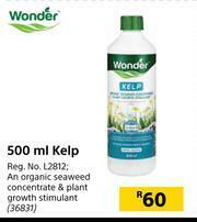 Builders Warehouse Wonder Kelp-500ml offer