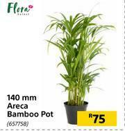 Builders Warehouse Flora 140mm Areca Bamboo Pot offer
