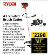 Builders Warehouse Ryobi 43cc Petrol Brush Cutter offer